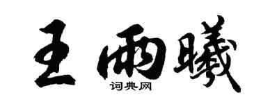 胡问遂王雨曦行书个性签名怎么写