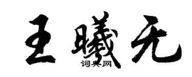 胡问遂王曦无行书个性签名怎么写