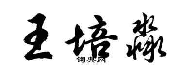 胡问遂王培淼行书个性签名怎么写