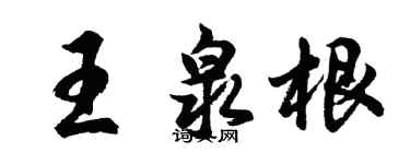 胡问遂王泉根行书个性签名怎么写