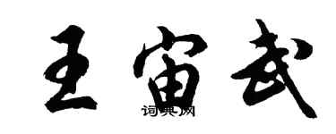胡问遂王宙武行书个性签名怎么写
