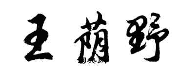 胡问遂王荫野行书个性签名怎么写