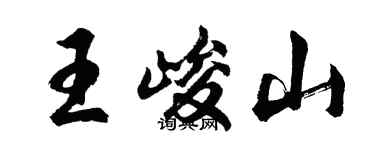 胡问遂王峻山行书个性签名怎么写