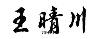 胡问遂王晴川行书个性签名怎么写