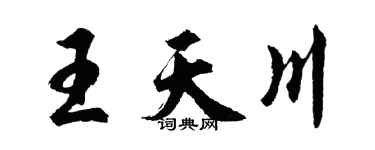 胡问遂王天川行书个性签名怎么写