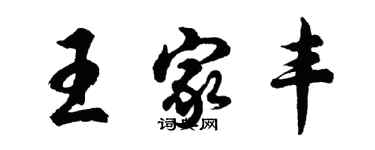 胡问遂王家丰行书个性签名怎么写