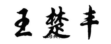 胡问遂王楚丰行书个性签名怎么写