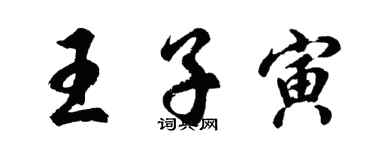 胡问遂王子寅行书个性签名怎么写