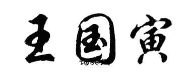 胡问遂王国寅行书个性签名怎么写