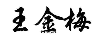 胡问遂王金梅行书个性签名怎么写