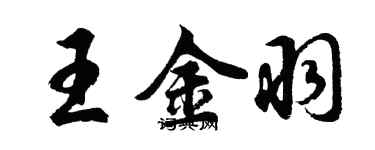 胡问遂王金羽行书个性签名怎么写