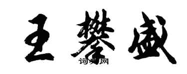 胡问遂王攀盛行书个性签名怎么写