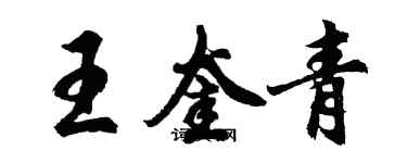胡问遂王奎青行书个性签名怎么写