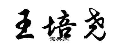 胡问遂王培尧行书个性签名怎么写