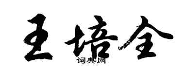 胡问遂王培全行书个性签名怎么写