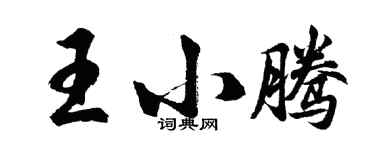 胡问遂王小腾行书个性签名怎么写