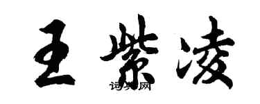 胡问遂王紫凌行书个性签名怎么写