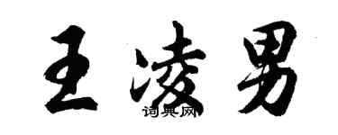 胡问遂王凌男行书个性签名怎么写