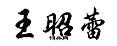 胡问遂王昭蕾行书个性签名怎么写