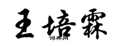 胡问遂王培霖行书个性签名怎么写