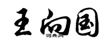 胡问遂王向国行书个性签名怎么写
