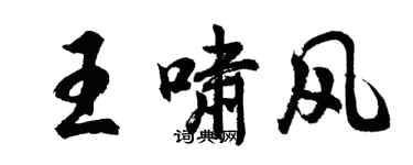 胡问遂王啸风行书个性签名怎么写