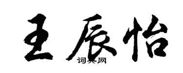 胡问遂王辰怡行书个性签名怎么写