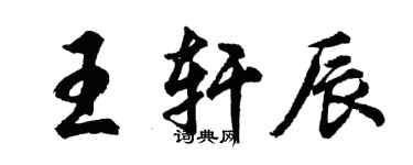 胡问遂王轩辰行书个性签名怎么写