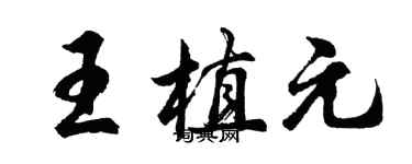 胡问遂王植元行书个性签名怎么写