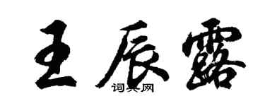 胡问遂王辰露行书个性签名怎么写
