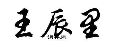 胡问遂王辰里行书个性签名怎么写