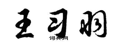 胡问遂王习羽行书个性签名怎么写