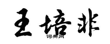 胡问遂王培非行书个性签名怎么写