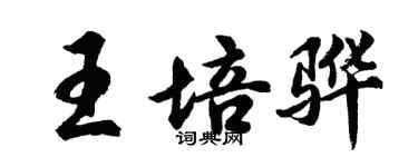 胡问遂王培骅行书个性签名怎么写