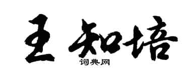 胡问遂王知培行书个性签名怎么写