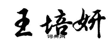 胡问遂王培妍行书个性签名怎么写