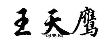 胡问遂王天鹰行书个性签名怎么写