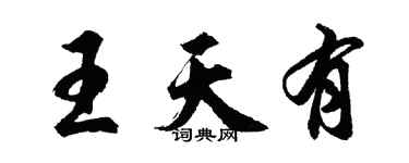 胡问遂王天有行书个性签名怎么写
