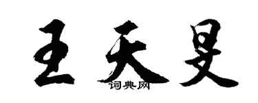 胡问遂王天旻行书个性签名怎么写