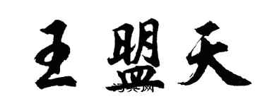 胡问遂王盟天行书个性签名怎么写