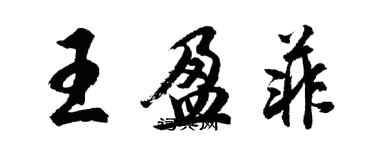 胡问遂王盈菲行书个性签名怎么写