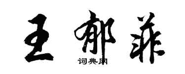 胡问遂王郁菲行书个性签名怎么写