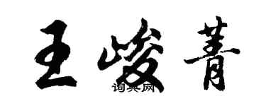 胡问遂王峻菁行书个性签名怎么写