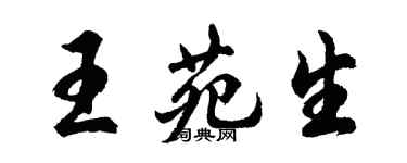 胡问遂王苑生行书个性签名怎么写