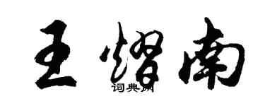 胡问遂王熠南行书个性签名怎么写
