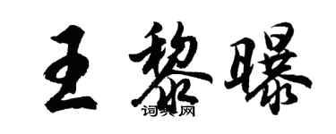 胡问遂王黎曝行书个性签名怎么写