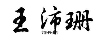 胡问遂王沛珊行书个性签名怎么写