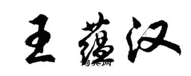 胡问遂王蕴汉行书个性签名怎么写