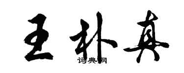 胡问遂王朴真行书个性签名怎么写