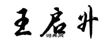 胡问遂王启升行书个性签名怎么写